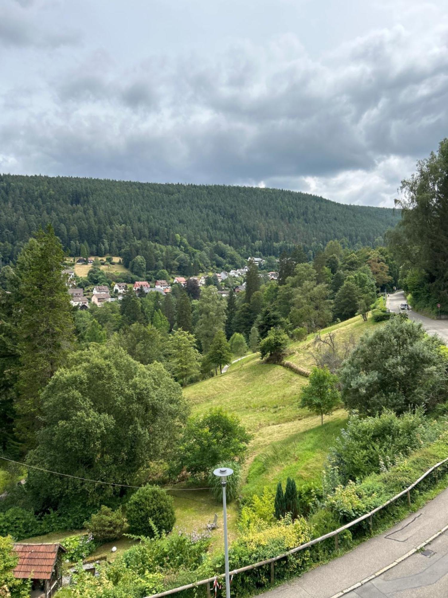 Wohn-Eitel Romantik Bad Wildbad Exterior photo